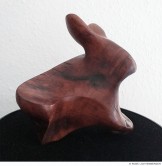 Abbildung: Bin ich ein Hase?