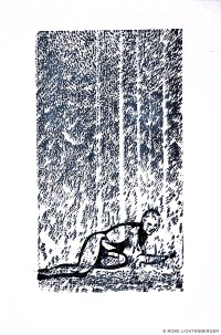 Abbildung: Wasserfall