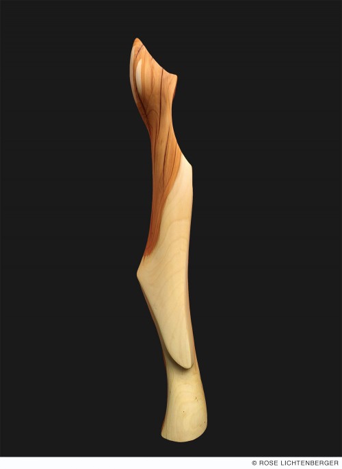 Abbildung: Sirene