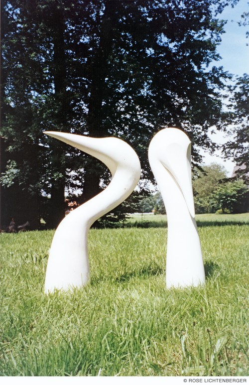 Abbildung: Weiße Vögel
