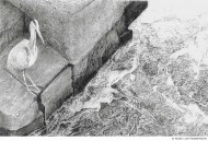 Abbildung: Stadtwasser