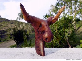 Abbildung: Hornvieh