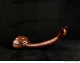 Abbildung: Schirkelschnecke