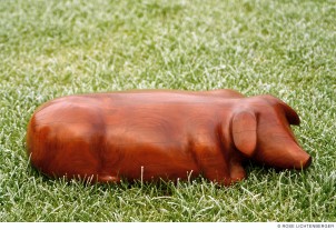 Abbildung: Schwein