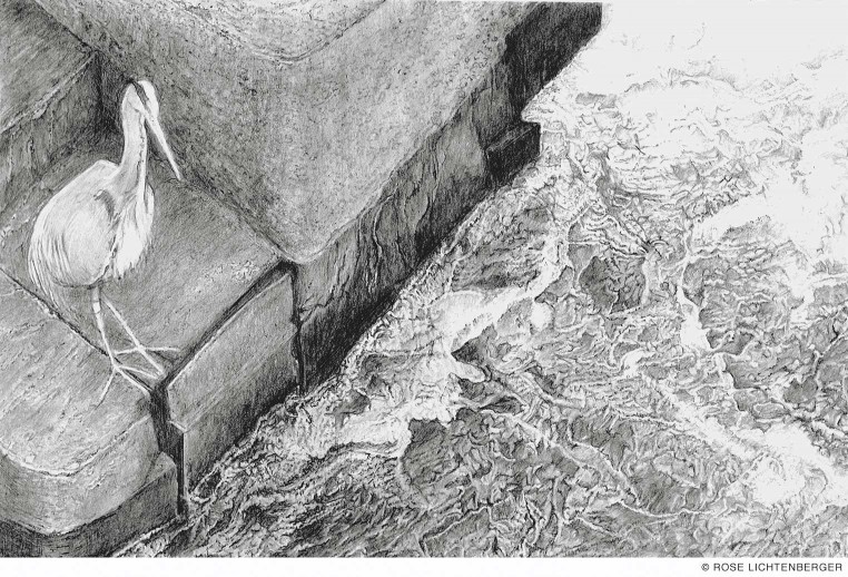 Abbildung: Stadtwasser