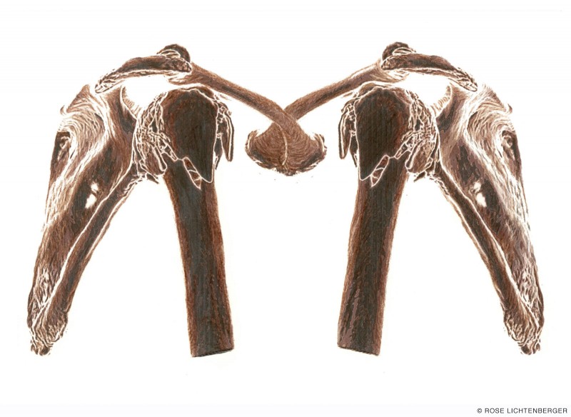 Abbildung: Game of Broken Bones