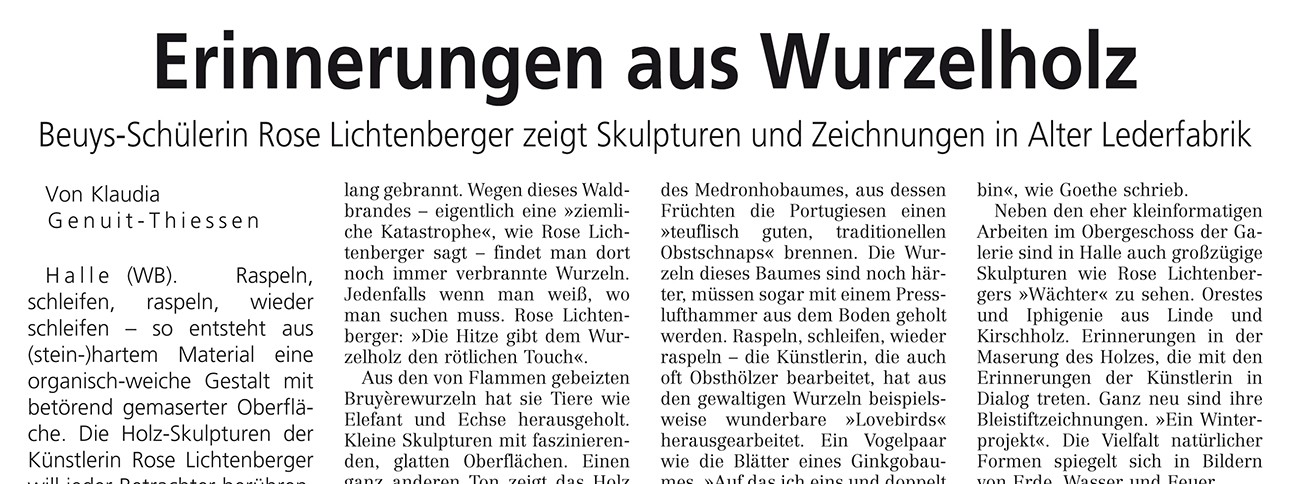 Abbildung: Erinnerungen aus Wurzelholz