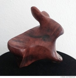 Abbildung: Bin ich ein Hase?